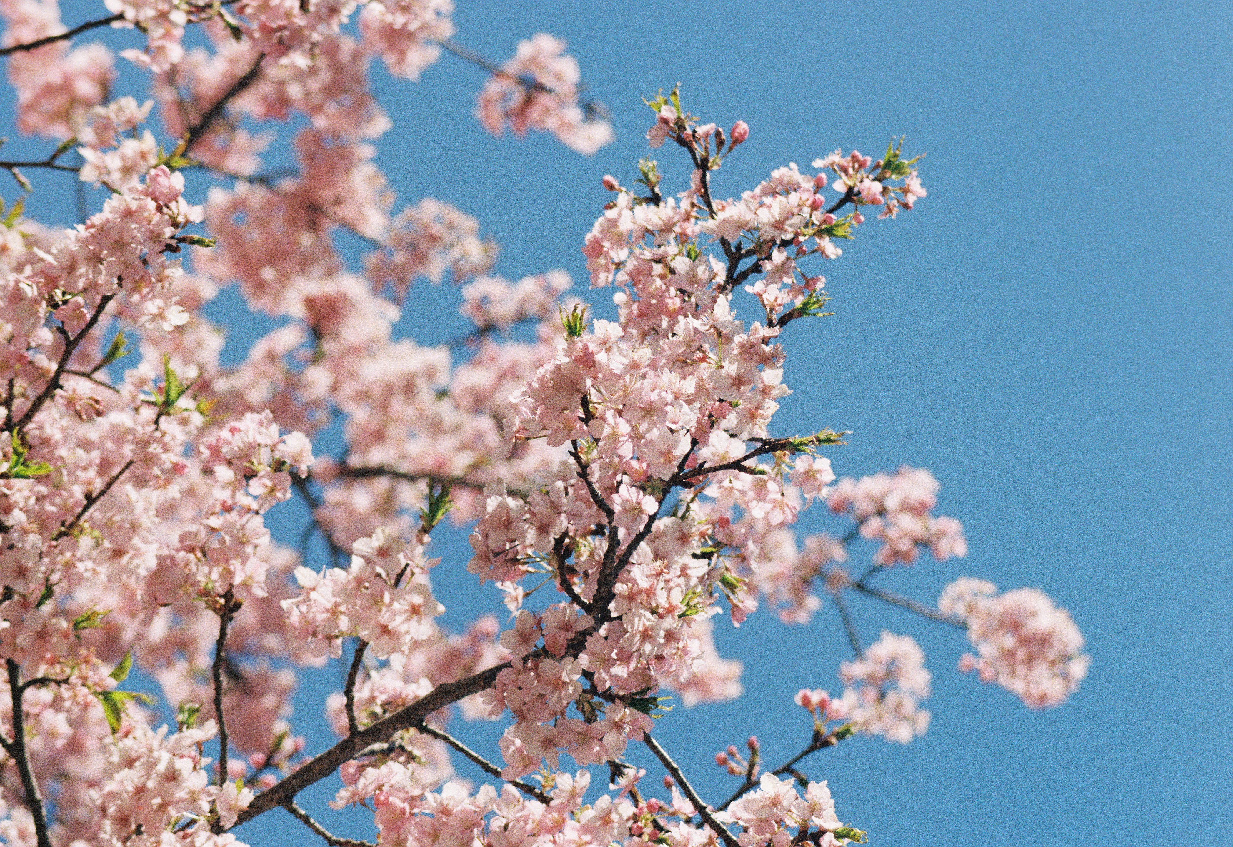 USugarのイメージ画像